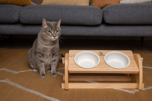 5 Reasons Why Adjustable Elevated Cat Bowls Are Better