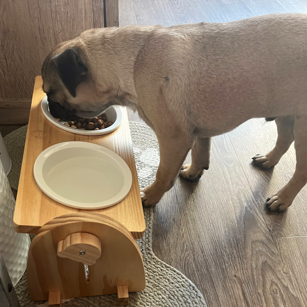 MunchiePets Elevated Pet Feeder