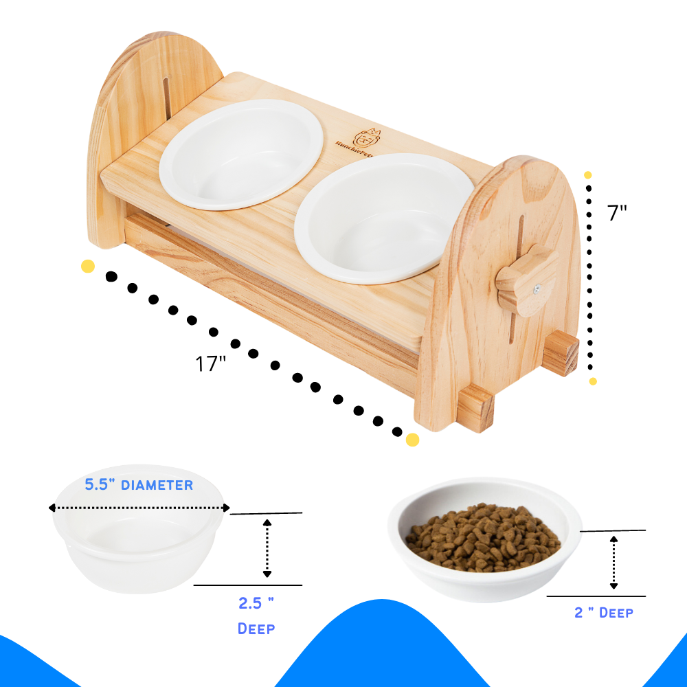 PAWISE Elevated Dog Bowls, Raised Cat Feeder Elevated Food and